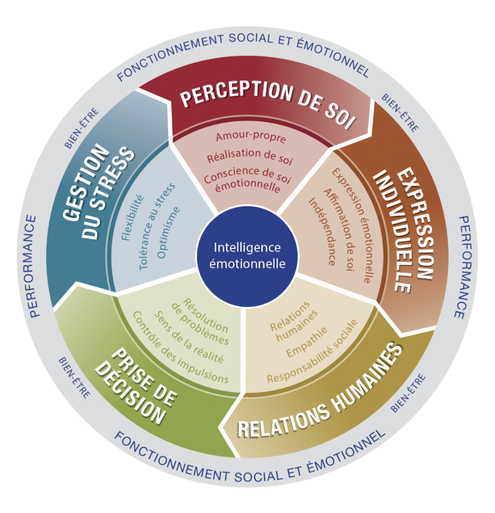 Emotional Quotient Wheel
